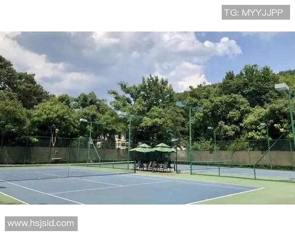 上海网球队运营模式解析与发展策略探讨